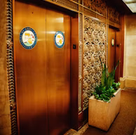 a wooden door with a plant in it
