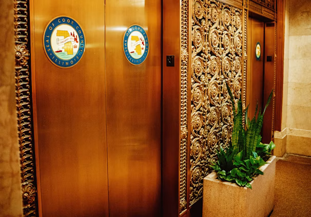 a wooden door with a plant in it
